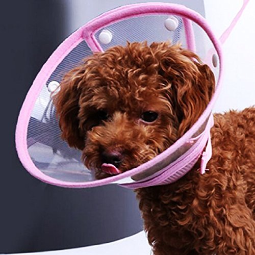 Pets Empire Recovery Pet Cone Elizabethan Collar
